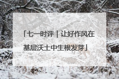 七一时评｜让好作风在基层沃土中生根发芽