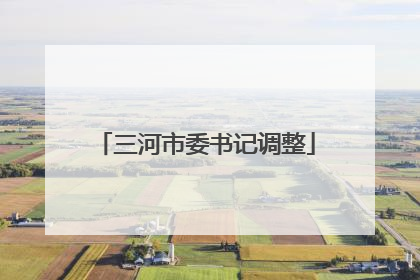 三河市委书记调整