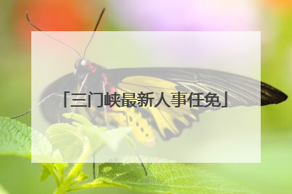 三门峡最新人事任免