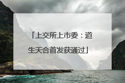 上交所上市委：道生天合首发获通过