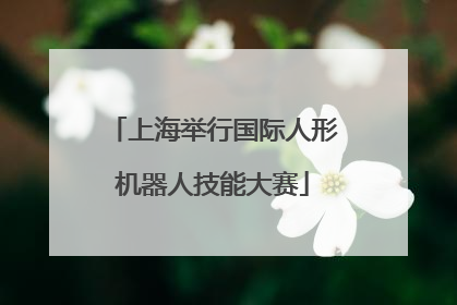 上海举行国际人形机器人技能大赛