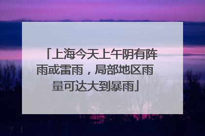 上海今天上午阴有阵雨或雷雨，局部地区雨量可达大到暴雨