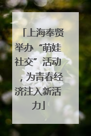 上海奉贤举办“萌娃社交”活动，为青春经济注入新活力