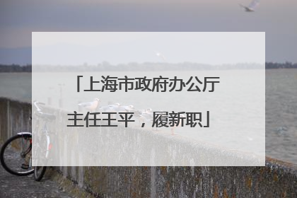 上海市政府办公厅主任王平，履新职