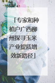 专家和种植户广西柳州探寻玉米产业提质增效新路径