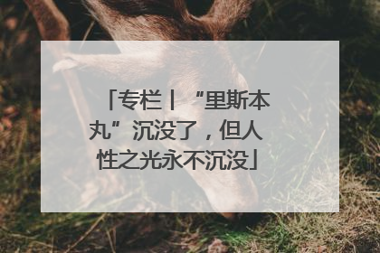 专栏丨“里斯本丸”沉没了，但人性之光永不沉没
