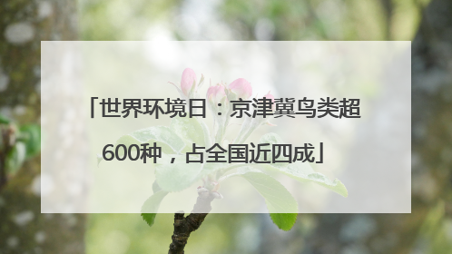 世界环境日：京津冀鸟类超600种，占全国近四成