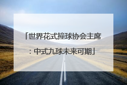 世界花式撞球协会主席：中式九球未来可期