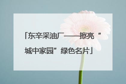 东辛采油厂——擦亮“城中家园”绿色名片