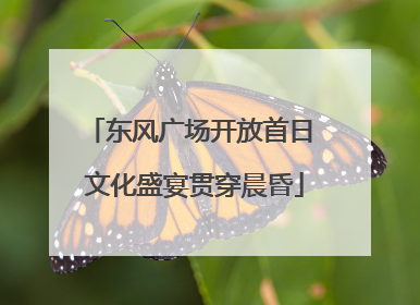 东风广场开放首日 文化盛宴贯穿晨昏