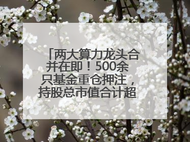 两大算力龙头合并在即！500余只基金重仓押注，持股总市值合计超380亿元
