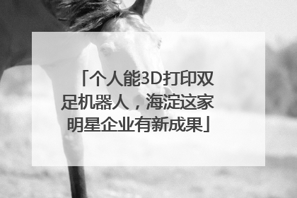 个人能3D打印双足机器人，海淀这家明星企业有新成果