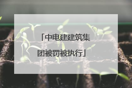 中电建建筑集团被罚被执行