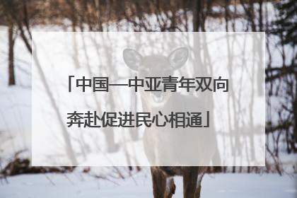 中国—中亚青年双向奔赴促进民心相通