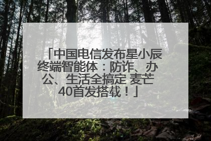 中国电信发布星小辰终端智能体：防诈、办公、生活全搞定 麦芒40首发搭载！
