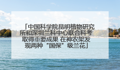 中国科学院昆明植物研究所和深圳兰科中心联合科考取得重要成果 在神农架发现两种“国保”级兰花