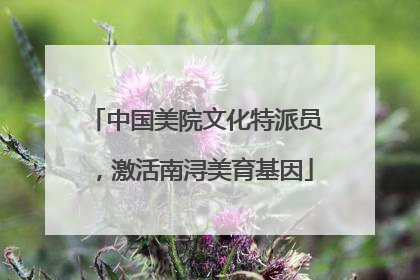 中国美院文化特派员，激活南浔美育基因