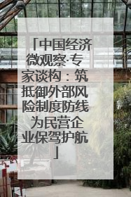 中国经济微观察·专家谈构：筑抵御外部风险制度防线 为民营企业保驾护航
