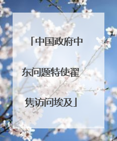 中国政府中东问题特使翟隽访问埃及