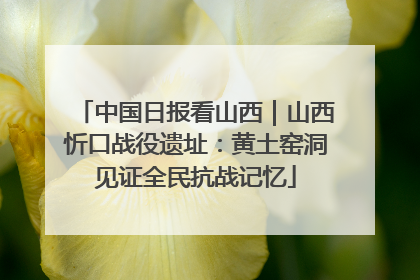 中国日报看山西｜山西忻口战役遗址：黄土窑洞见证全民抗战记忆