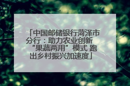 中国邮储银行菏泽市分行：助力农业创新 “果蔬两用”模式 跑出乡村振兴加速度