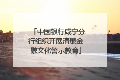 中国银行咸宁分行组织开展清廉金融文化警示教育
