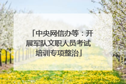 中央网信办等：开展军队文职人员考试培训专项整治