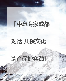 中意专家成都对话 共探文化遗产保护实践