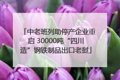 中老班列助停产企业重启 30000吨“四川造”钢铁制品出口老挝