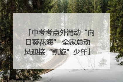 中考考点外涌动“向日葵花海” 全家总动员迎接“凯旋”少年