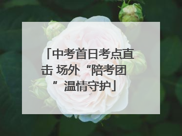 中考首日考点直击 场外“陪考团”温情守护