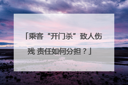 乘客“开门杀”致人伤残 责任如何分担？
