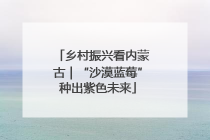 乡村振兴看内蒙古｜“沙漠蓝莓”种出紫色未来