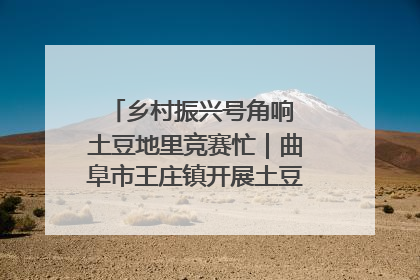乡村振兴号角响 土豆地里竞赛忙｜曲阜市王庄镇开展土豆收获劳动竞赛