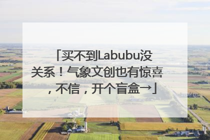买不到Labubu没关系！气象文创也有惊喜，不信，开个盲盒→