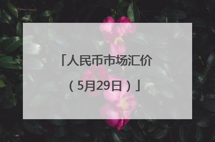 人民币市场汇价（5月29日）