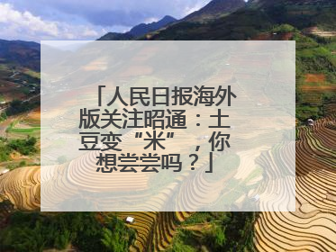 人民日报海外版关注昭通：土豆变“米”，你想尝尝吗？