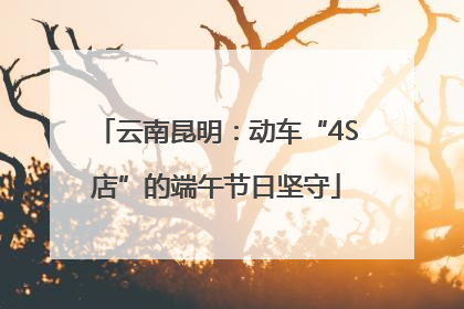 云南昆明：动车“4S店”的端午节日坚守