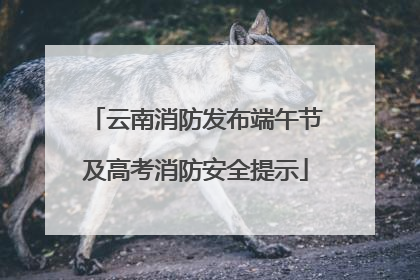 云南消防发布端午节及高考消防安全提示