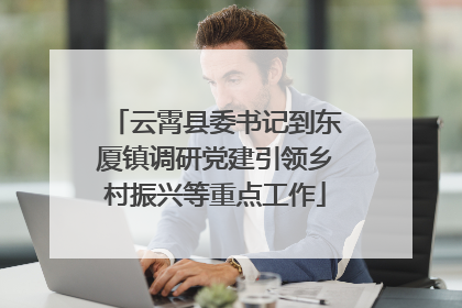 云霄县委书记到东厦镇调研党建引领乡村振兴等重点工作