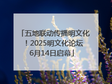 五地联动传播明文化！2025明文化论坛6月14日启幕