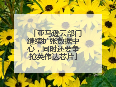 亚马逊云部门继续扩张数据中心，同时还要争抢英伟达芯片