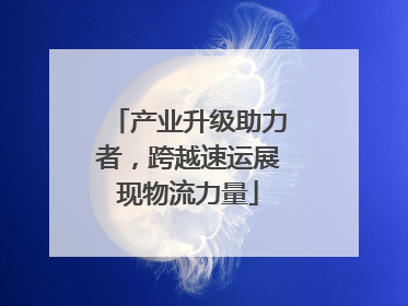 产业升级助力者，跨越速运展现物流力量