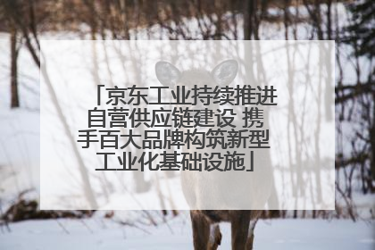 京东工业持续推进自营供应链建设 携手百大品牌构筑新型工业化基础设施