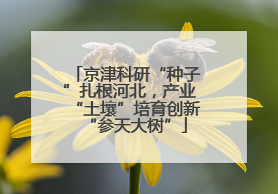 京津科研“种子”扎根河北，产业“土壤”培育创新“参天大树”