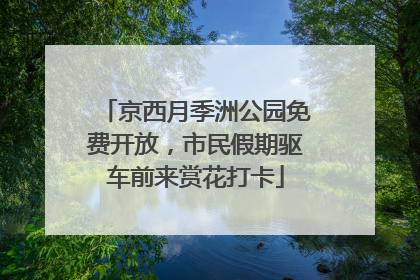 京西月季洲公园免费开放，市民假期驱车前来赏花打卡