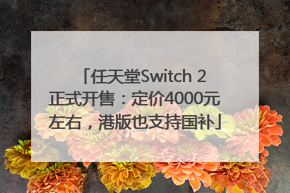任天堂Switch 2正式开售：定价4000元左右，港版也支持国补