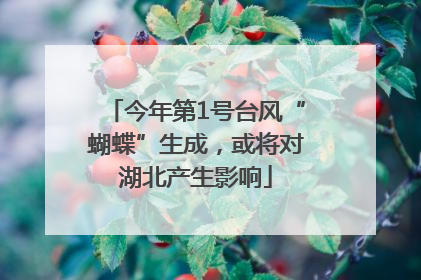 今年第1号台风“蝴蝶”生成，或将对湖北产生影响