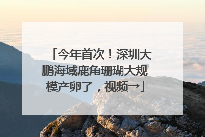 今年首次！深圳大鹏海域鹿角珊瑚大规模产卵了，视频→