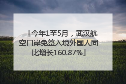 今年1至5月，武汉航空口岸免签入境外国人同比增长160.87%